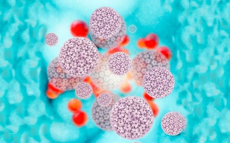 Humanes Papillomavirus verursacht Papillome an den Schamlippen